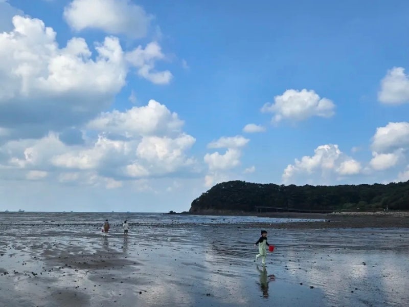 아이와 영흥도 나들이_영흥도 갯벌체험_바지락 해감방법_직접잡은 조개로 바지락탕 끓이기