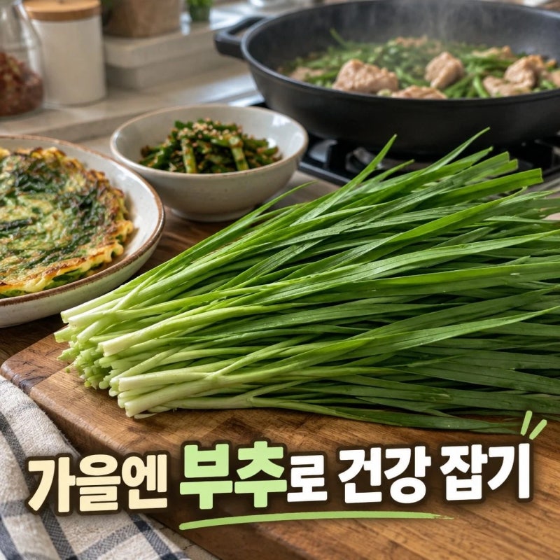 [부추효능] 가을 면역도 잡고 간도 살리는 부추 영양성분. 흡수율 높이는 섭취법. 부작용 주....