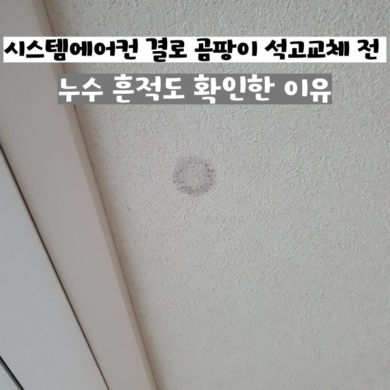 시스템에어컨 결로 곰팡이 석고교체 전 누수 흔적도 확인한 이유