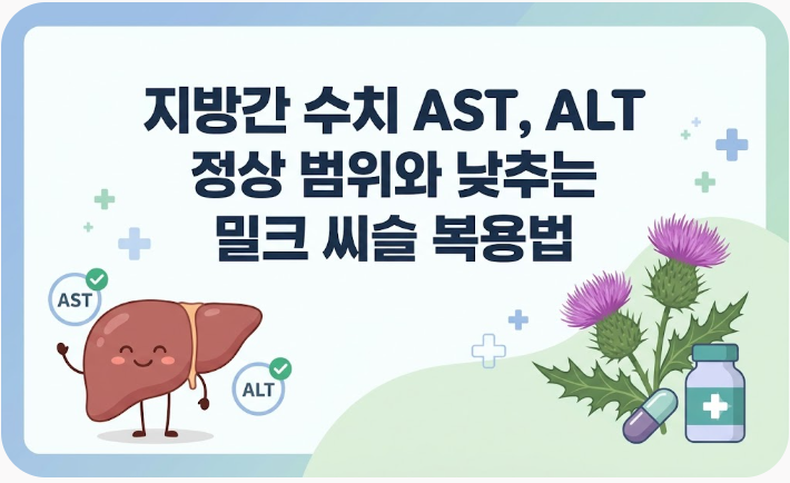 지방간 수치 AST ALT 정상 범위와 간수치 낮추는 밀크씨슬 복용법