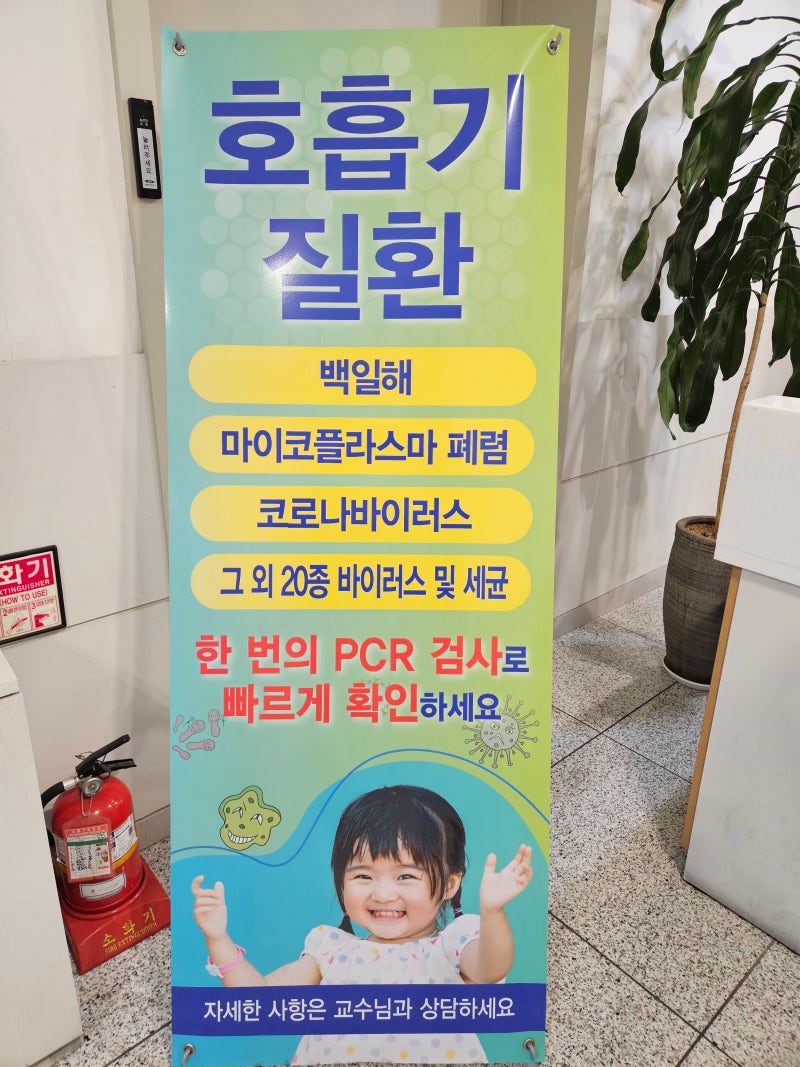 감기가 아냐? 백일해?｜한 번의 PCR 검사로 여러 호흡기 감염 확인할 수 있을까?