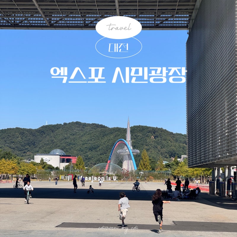 대전 여행코스 엑스포 시민광장 한밭수목원 당일치기 놀곳 추천 아이와 가볼만한곳