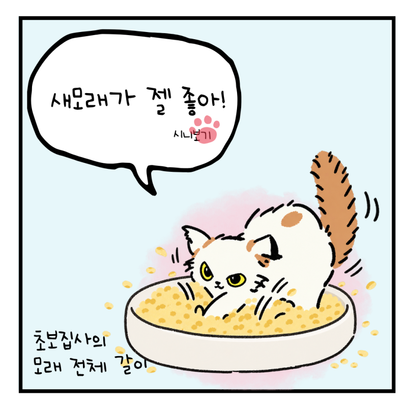 고양이 모래갈이 화장실 대청소하는 날