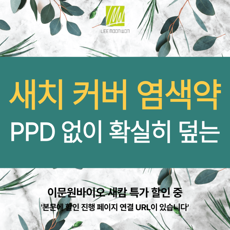 PPD 없어 순한데 새치는 확실히 덮는 간편한 커버 염색약