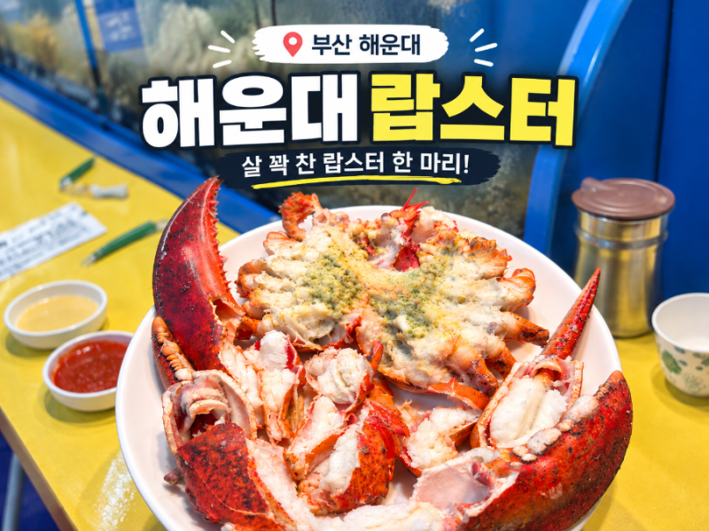 해운대포장마차 오륙도19호 랍스터코스, 가격부터 구성까지 솔직후기