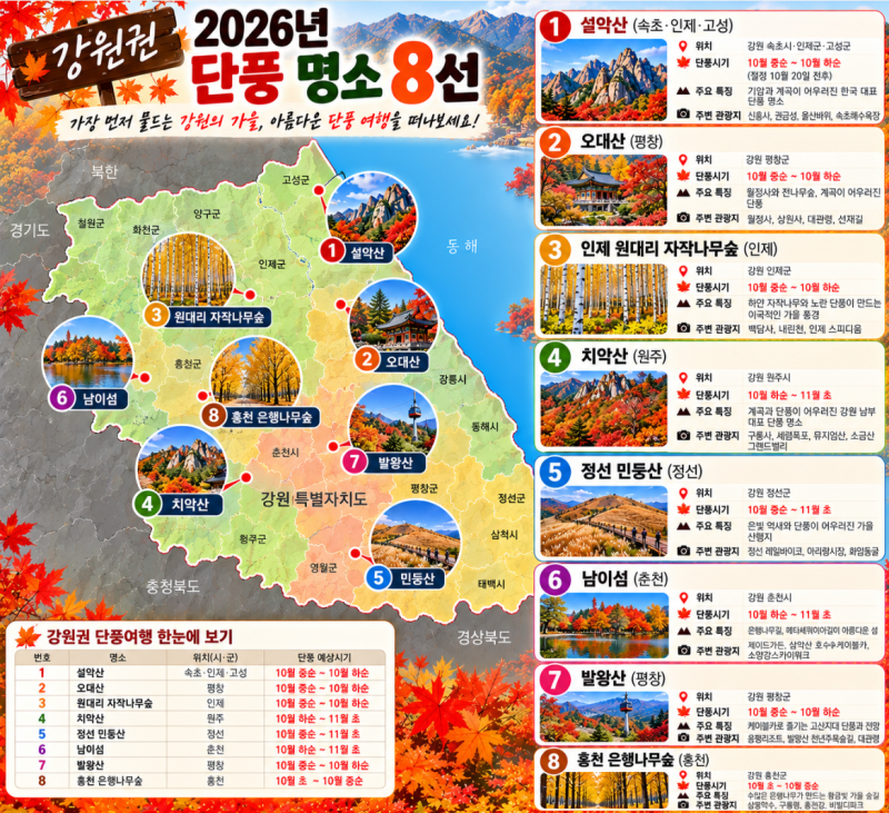 2026년 강원권 단풍 명소 8곳