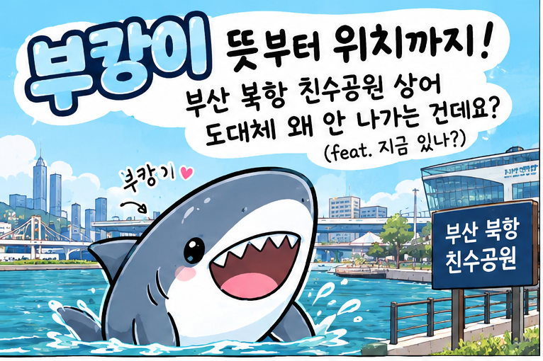 부캉이 뜻부터 위치까지! 부산 북항 친수공원 상어, 도대체 왜 안 나가는 건데요 (feat. 지금 ....
