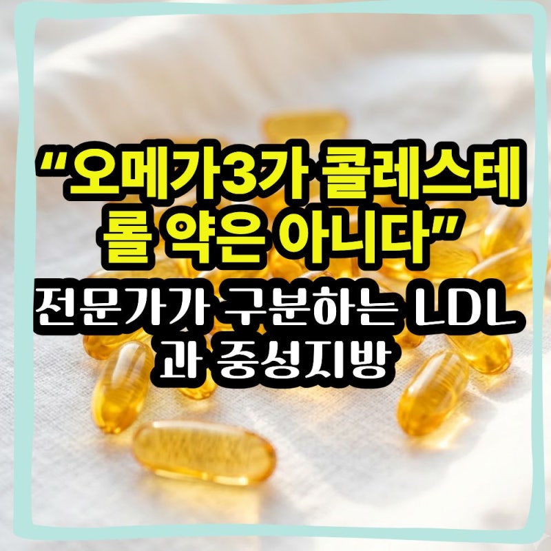 “오메가3가 콜레스테롤 약은 아니었습니다” 전문가가 구분하는 LDL과 중성지방