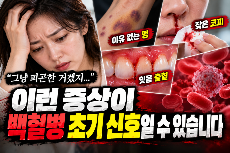 잘 드는 멍에 피곤함까지, 백혈병 초기증상 놓치면 안 되는 이유
