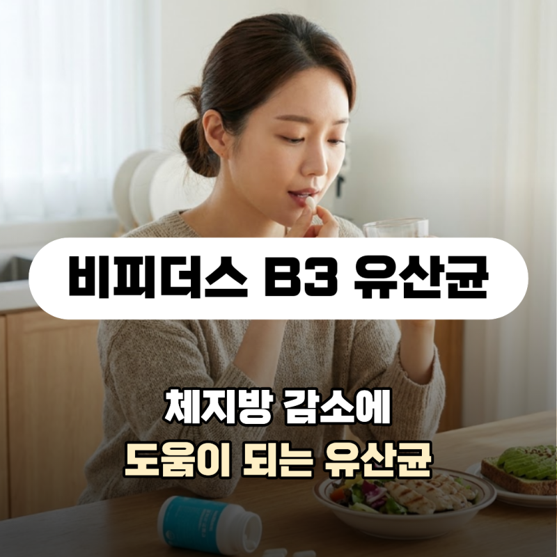 비피더스 B3 유산균은 일반 유산균의 차이점은? 비피더스 B3 효능 다이어트 고르는법