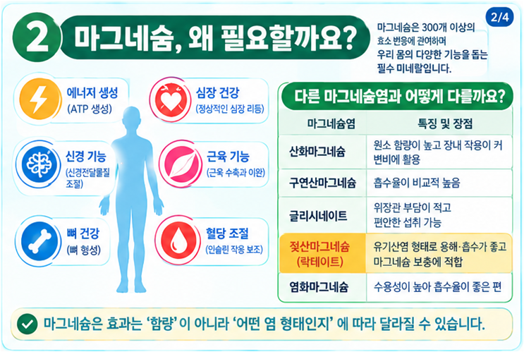 마그네슘 영양제, 아무거나 먹어도 될까요? 더 파르마 마그네슘 락테이트, 마그네슘염의 차....