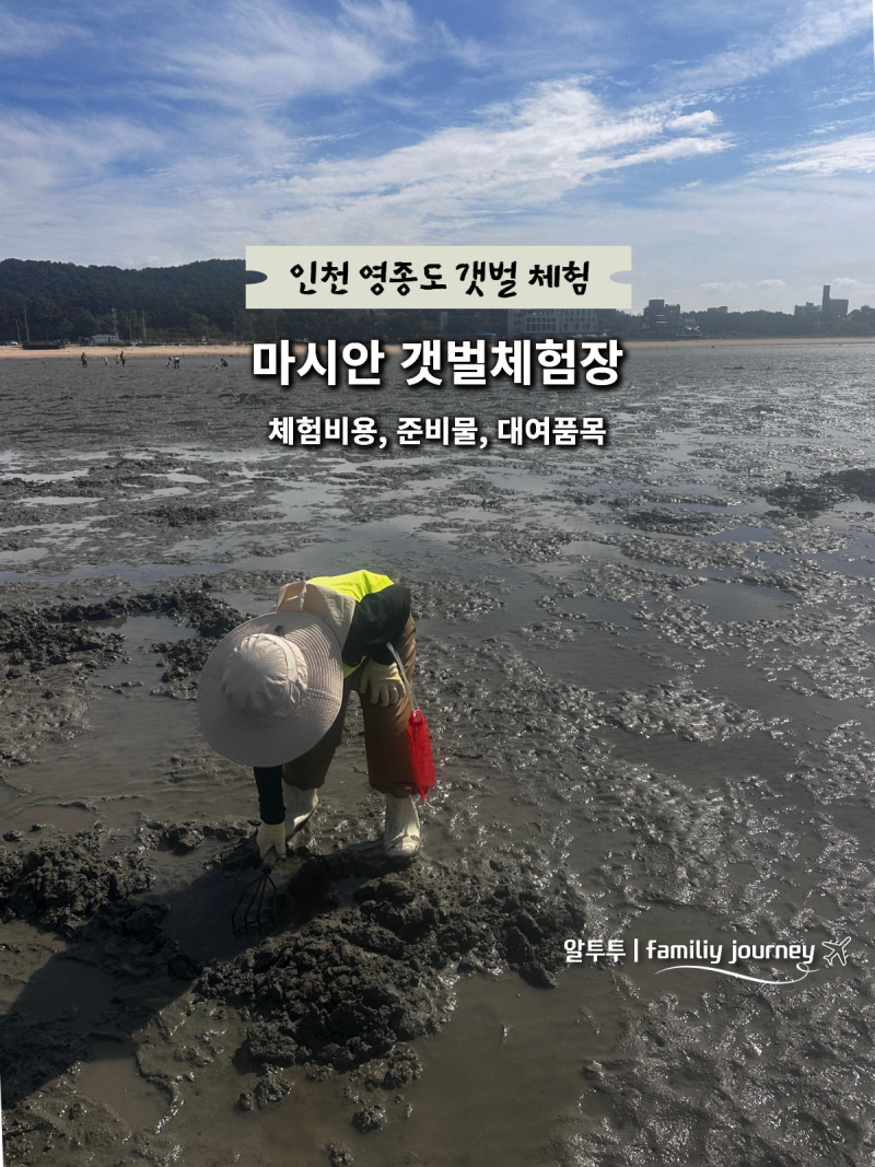 마시안 갯벌체험 요금 주차정보 및 조개체험 준비물 , 영종도 아이랑 추천코스