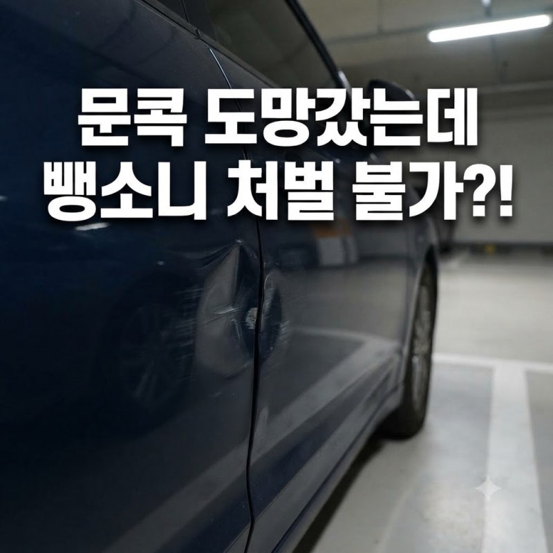 문콕 당했는데 도망갔다면 물피도주 처벌 불가?! 문콕 신고 요령과 보험처리 수리비 합의법