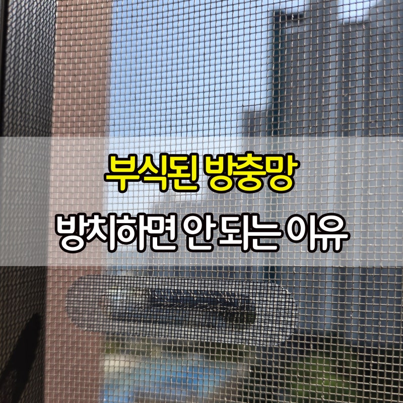 부식된 방충망 방치하면 안 되는 이유와 교체 시기