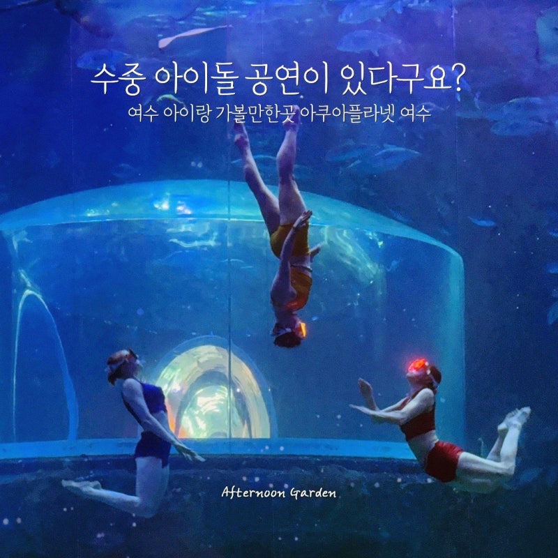 여수 가볼만한곳 추천 아이랑 실내 놀거리 아쿠아플라넷 주차 할인 공연시간