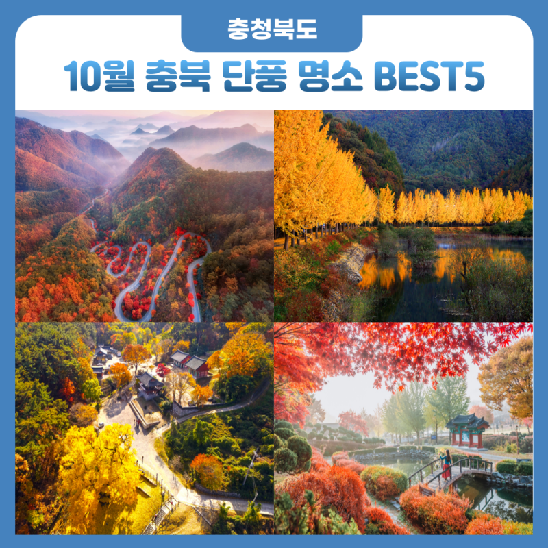 10월 충북 가볼 만한 곳 가을 단풍 여행 명소 BEST5