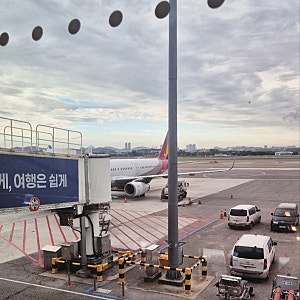 아시아나 마일리지 사용 김포-제주 항공권 예약 OZ8927 탑승 후기 가족합산 까지