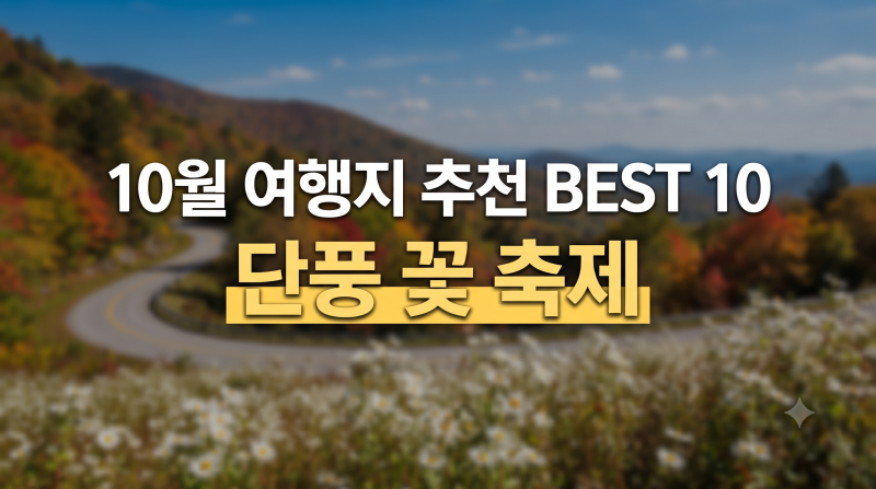 10월 여행지 추천 BEST 10｜단풍·꽃·축제까지 즐기는 국내 가을여행