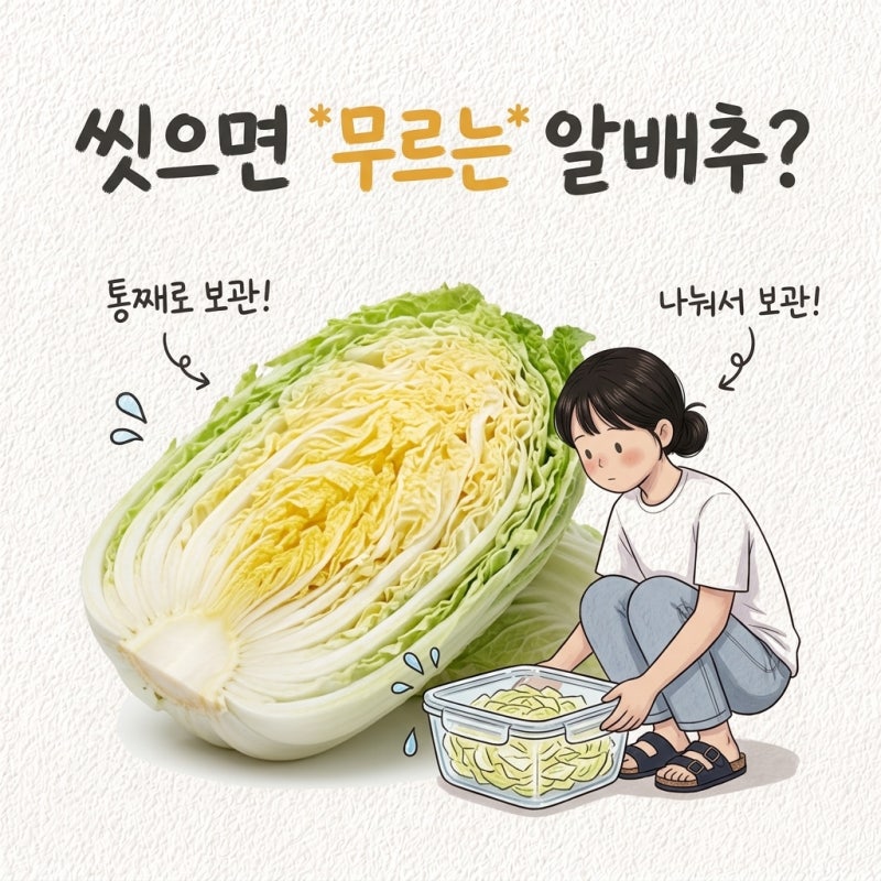 "씻어서 보관했더니 물러졌어요" 알배추 보관법 세척 무침 시기 알배추 샐러드