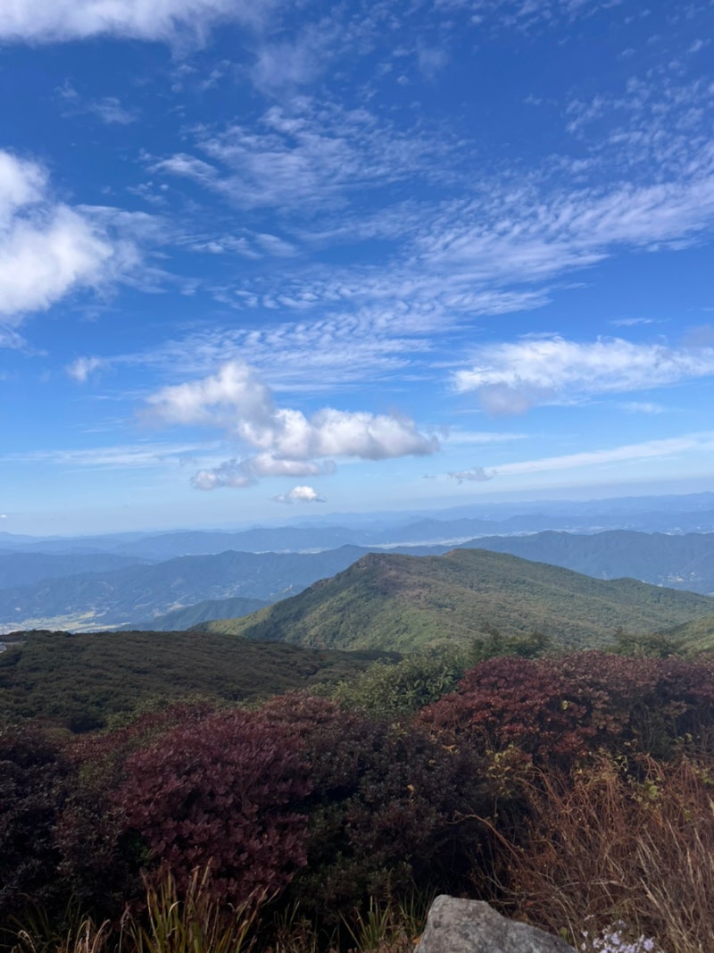 6살 아이랑 구례·하동 2박 3일 여행 둘째 날 (지리산 노고단, 당치민박산장, 화개 장터)