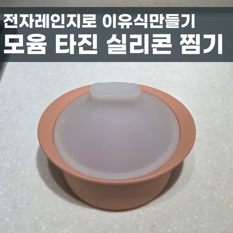 중기 이유식 큐브, 모윰 타진 실리콘 찜기로 손쉽게 만들어요!