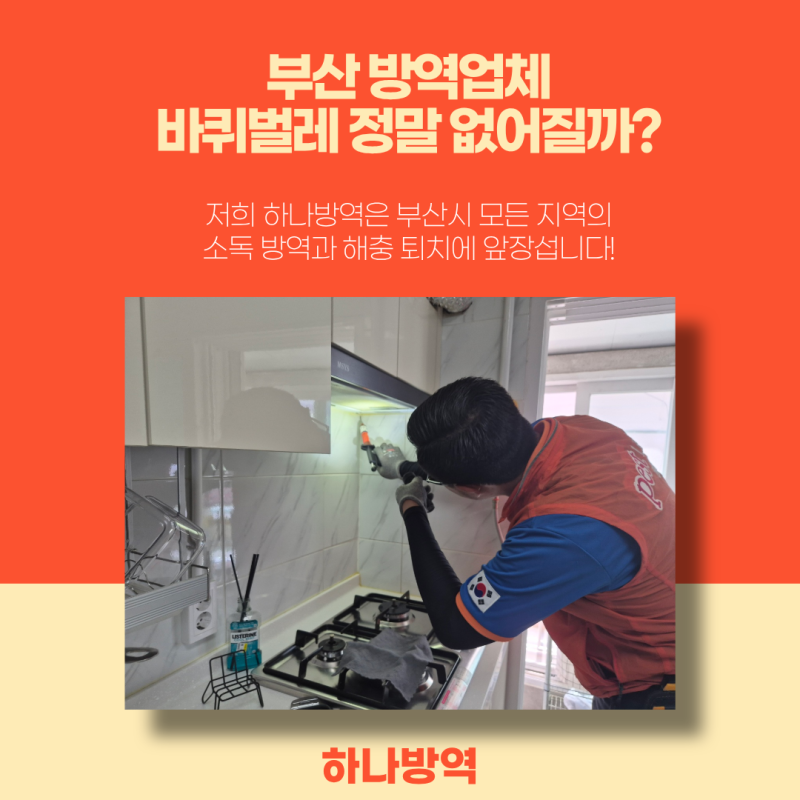 부산 방역업체 바퀴벌레 정말 없어질까?