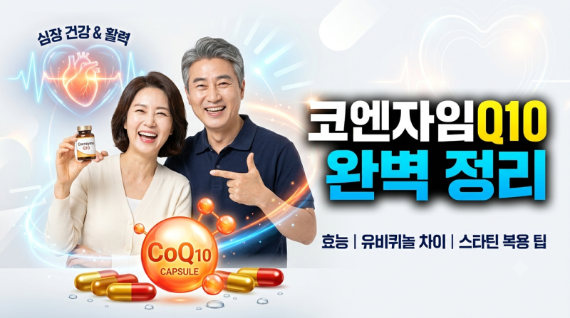코엔자임Q10 효능 및 주의사항, 유비퀴논 vs 유비퀴놀 차이와 스타틴 복용자 섭취법