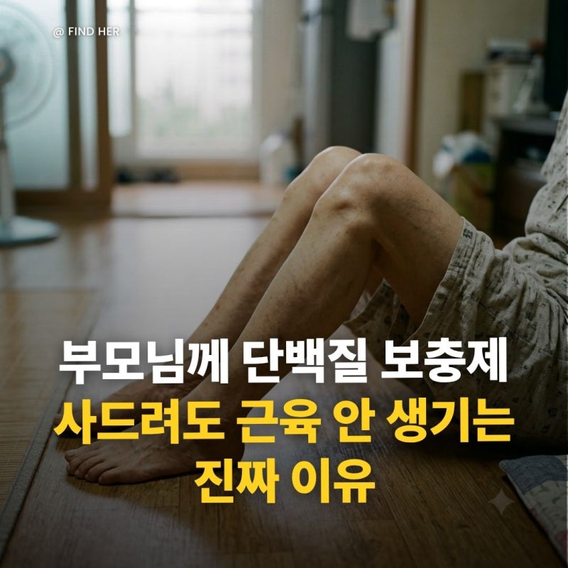 부모님께 노인 단백질 보충제 사드려도 근육 안 생기는 진짜 이유