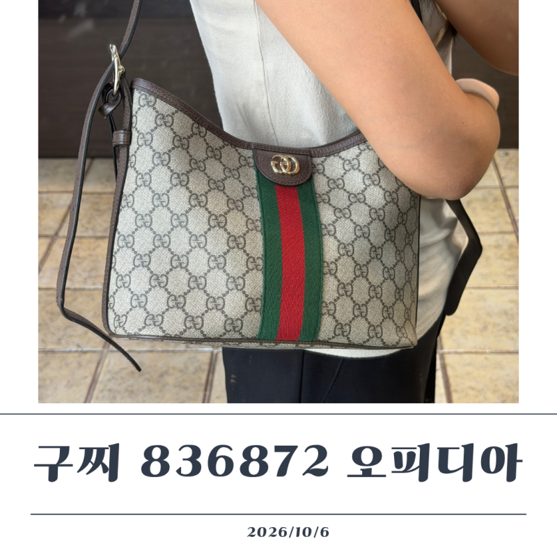 데일리 명품가방 추천, 구찌 836872 오피디아 스몰 숄더백 크로스백