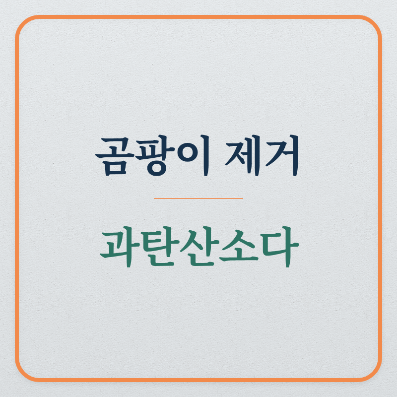 곰팡이 제거 (과탄산소다, 밀가루, 실리콘)