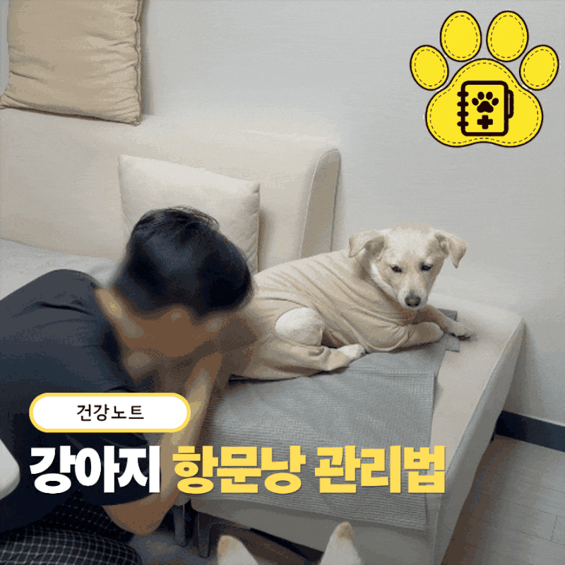 "엉덩이 냄새의 범인은 따로 있다?" 강아지 항문낭 관리 총정리