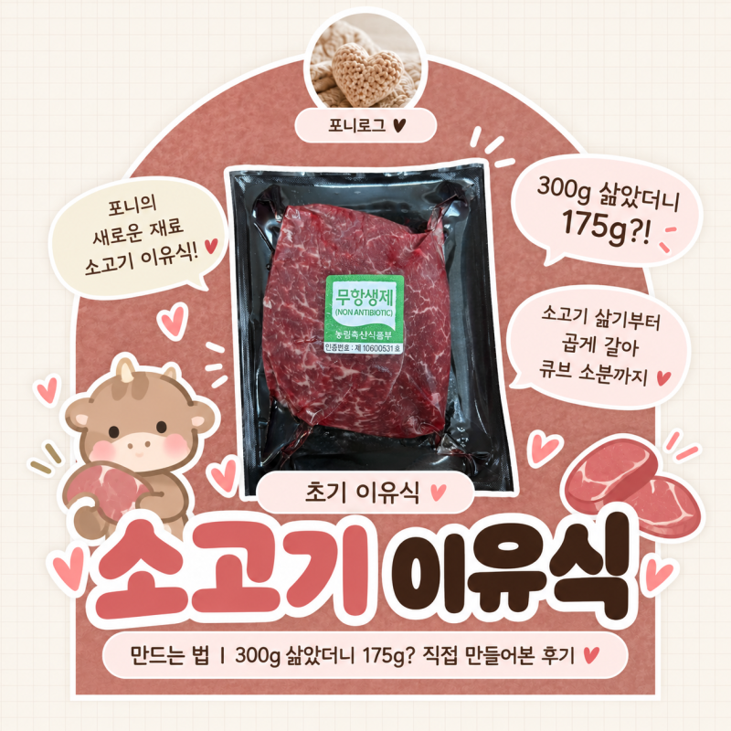 초기 이유식 소고기 큐브 만들기｜삶기부터 육수 넣고 곱게 갈기까지