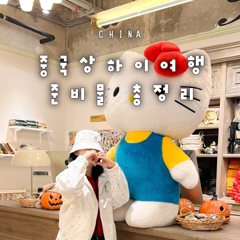 중국 여행 준비물 상하이 여행 체크리스트 돼지코 멀티어댑터 중국유심 eSIM 상해 입국신고서