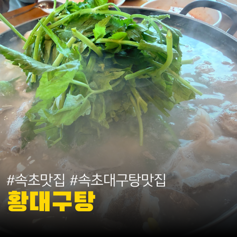 속초에서 가봐야 하는 식당 생대구탕 국물이 끝내주는 황대구탕