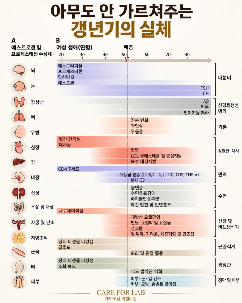 40대, 50대 갱년기 다이어트 성공하려면?