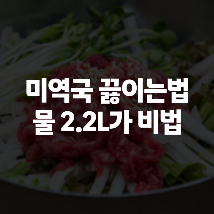 미역국 끓이는법 소고기미역국부터 고기없이 끓이는법까지 완벽 정리