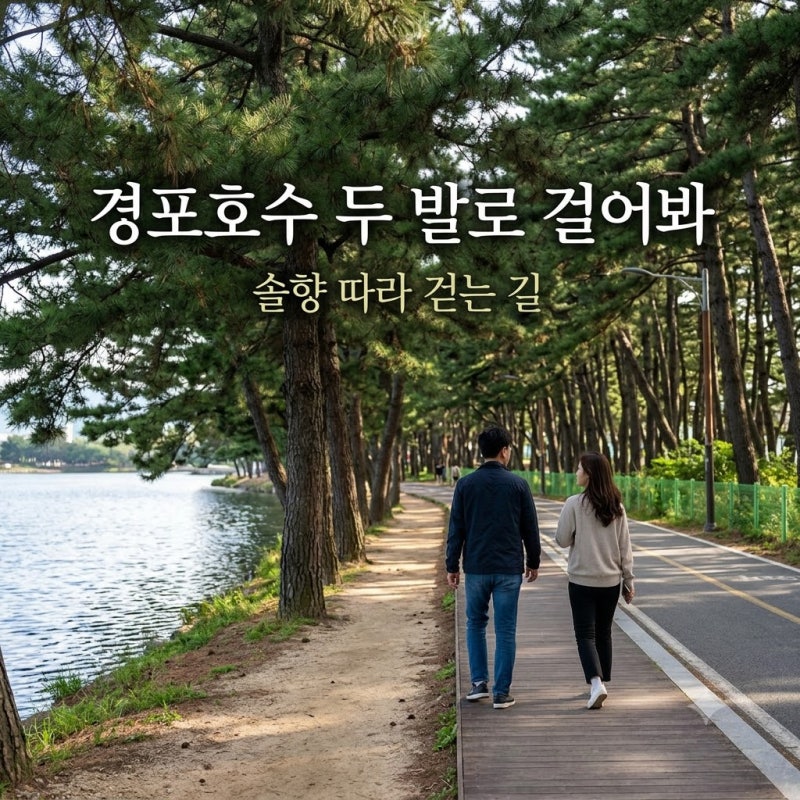강릉 경포호수 솔향 가득한 소나무 숲길과 자전거 대신 두 발로 걷는 호숫가 길