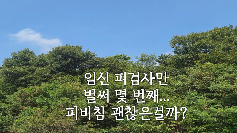 임신 피검사, 피비침 이후 계속 검사하는 사람이 돼...