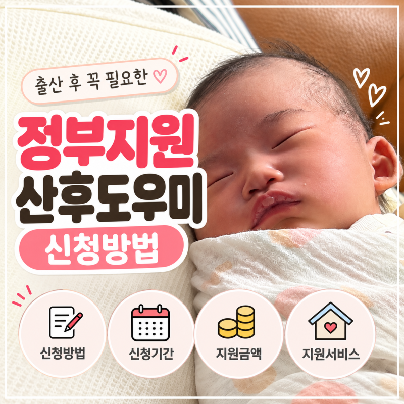 정부지원 산후도우미 신청방법