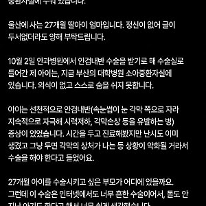 울산 안과 수술 27개월 여아 심정지, 마취 중 뇌사 주장…무슨 일이 있었나