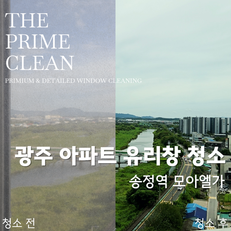 광주 임산부 가사지원서비스로 유리창청소까지 활용한 사례