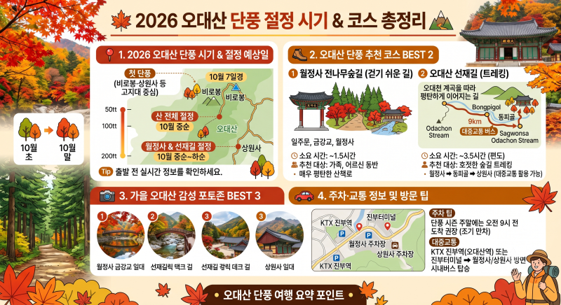 2026 오대산 단풍 절정 시기 & 코스 총정리 (월정사 전나무숲길, 선재길, 주차 팁)