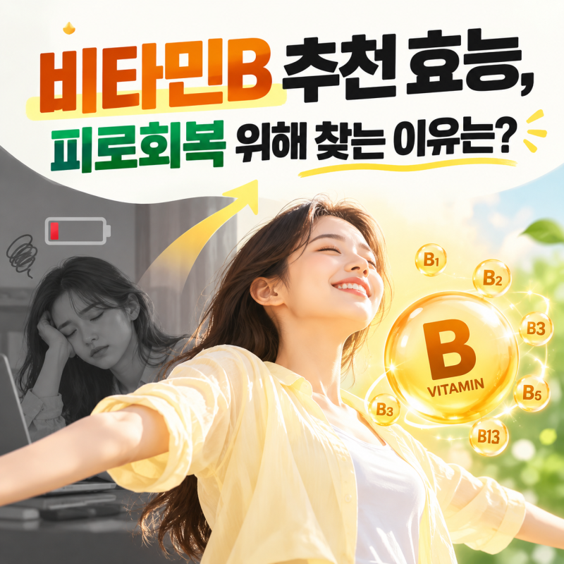 비타민B 추천 효능, 피로회복 위해 찾는 이유는?