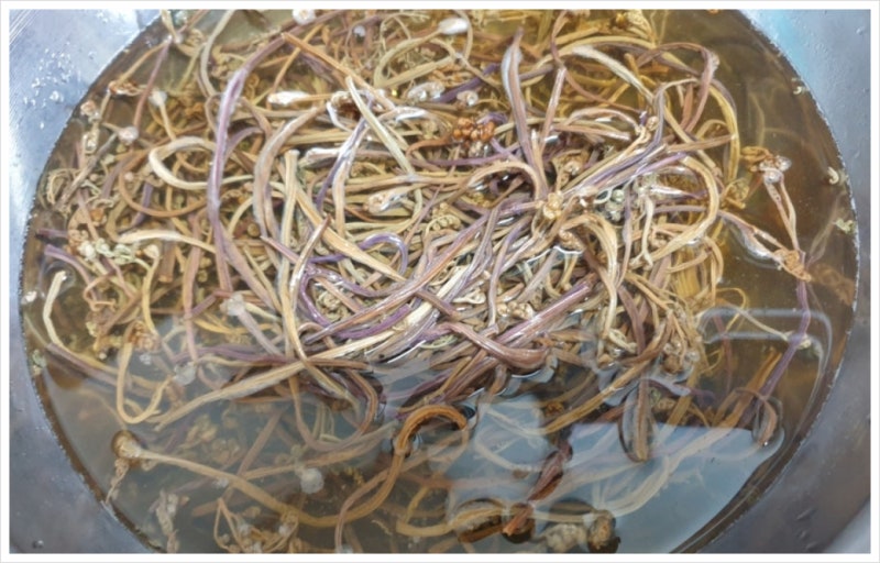 고사리 효능 부작용 독소 제거.삶았는데 물에 또 담그는 이유