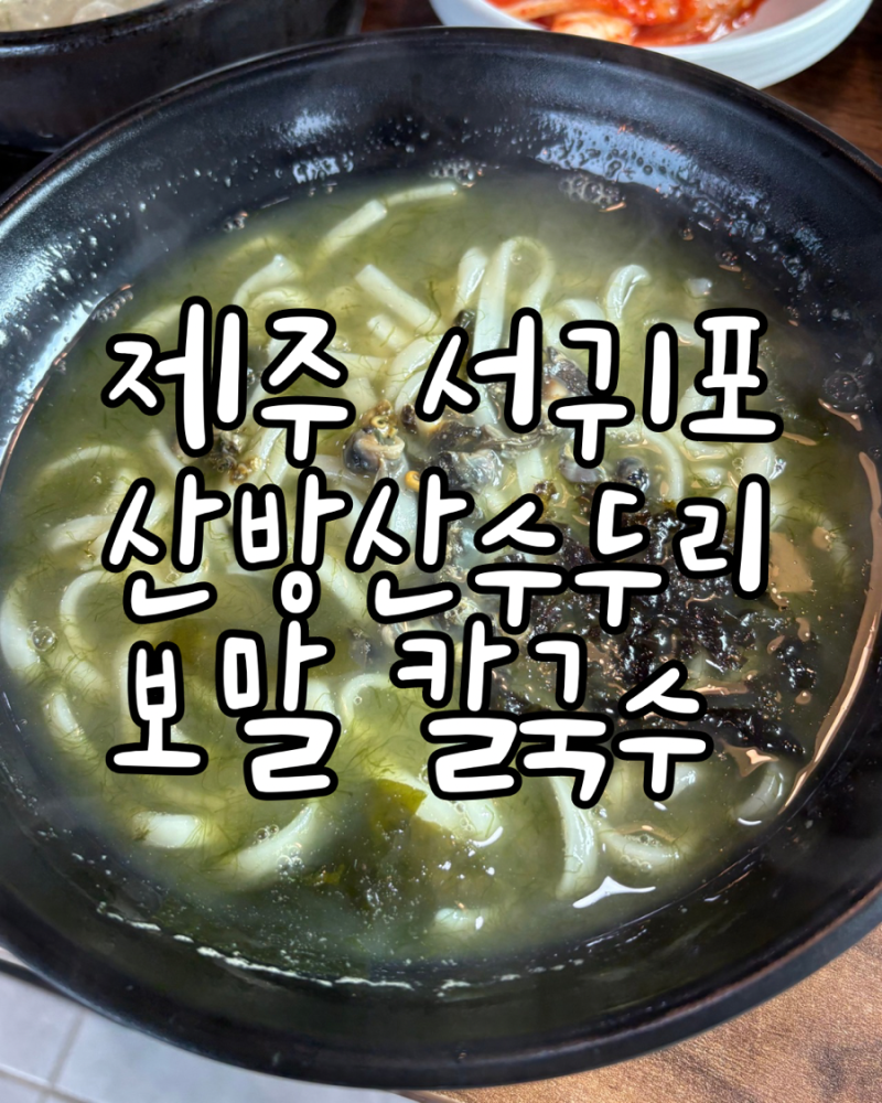 산방산 근처 제주 맛집 산방산 수두리 보말칼국수
