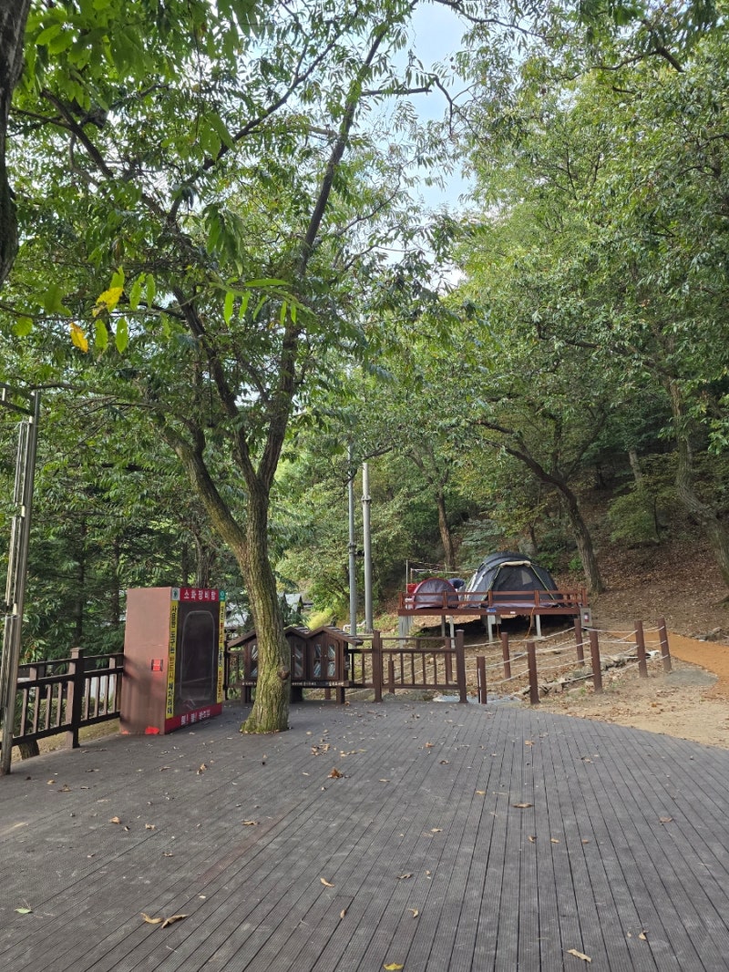 용인자연휴양림. 야영장. 10번 23번 사이트. 2박 3일. 초등 아이랑 캠핑