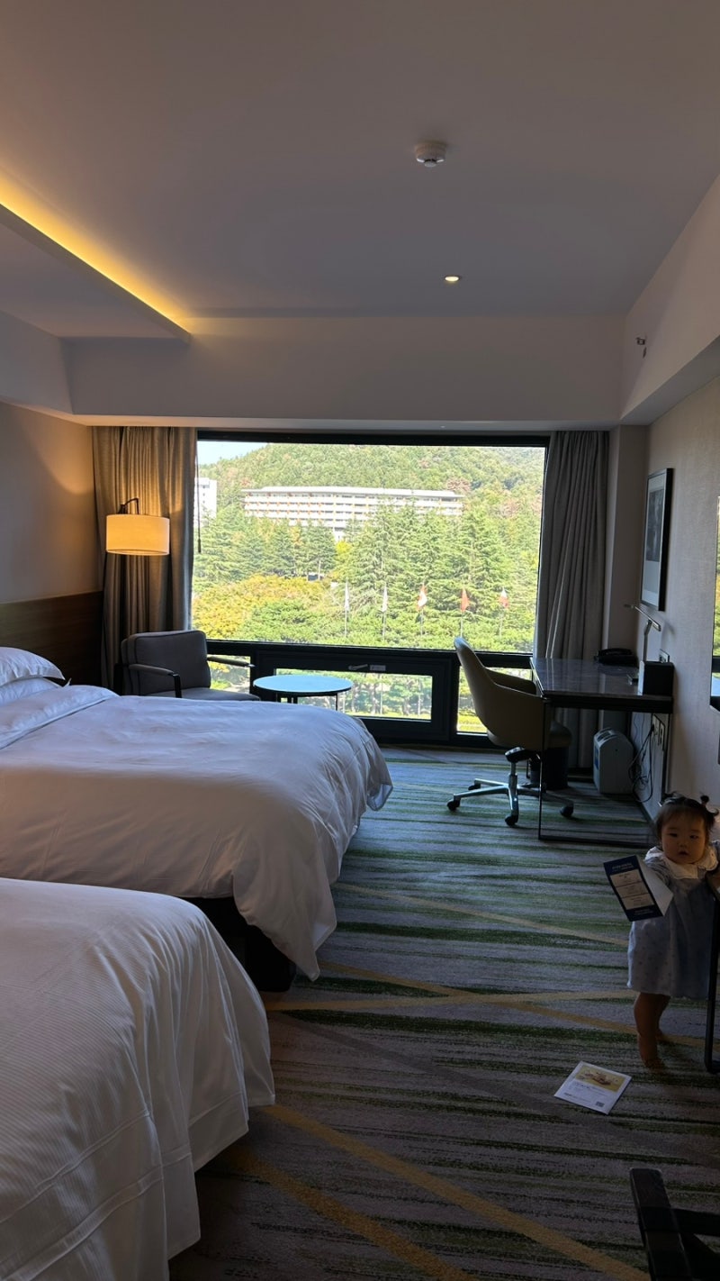 [경주여행] 아이랑 같이오기 좋은 경주 숙소, 힐튼호텔 경주(수영장, 헬스장, 조식, 아기용품 ....