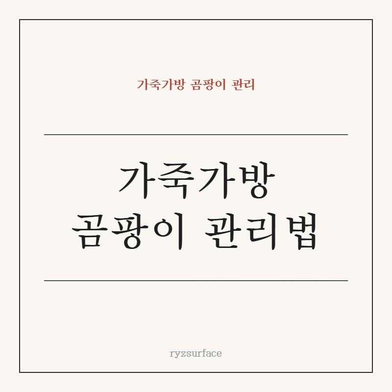 가죽가방 곰팡이 제거, 가죽 손상 없이 집에서 해결하는 방법