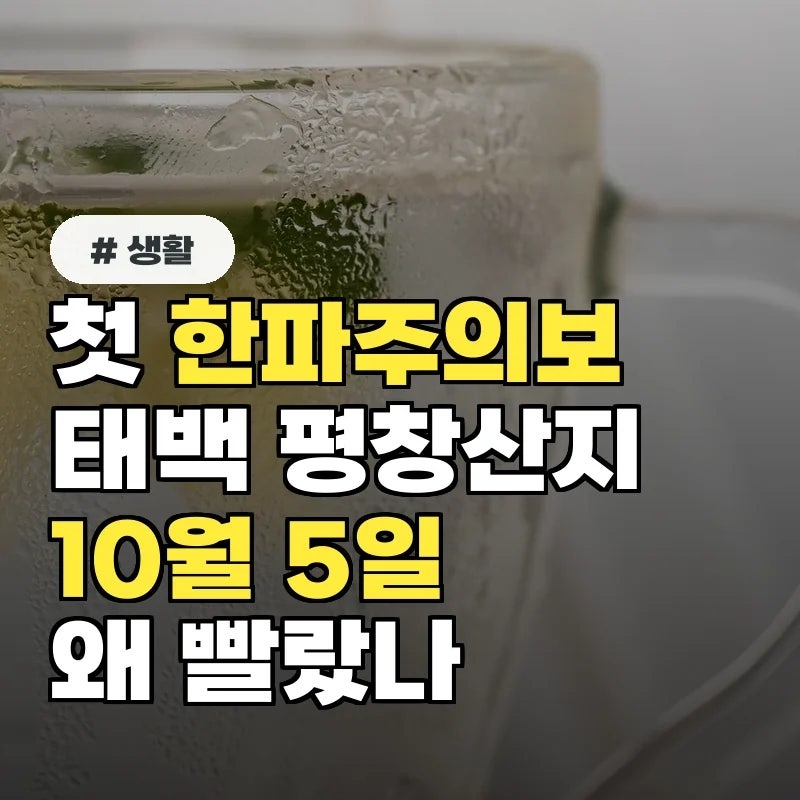 2026 첫 한파주의보 어디? 태백·평창산지 10월 5일 발효·역대 가장 이른 이유