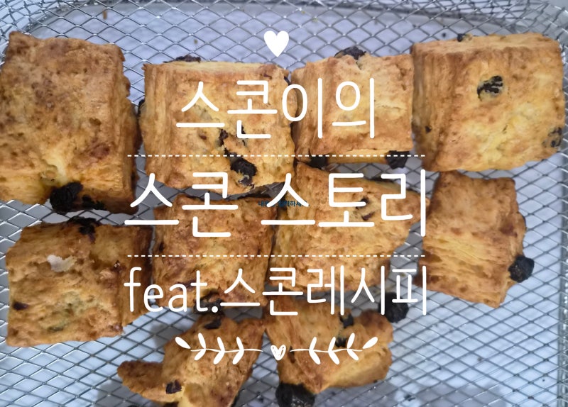 내가 '스콘이'가 된 이유 수백 번 구워낸 인생 생크림 결스콘 레시피 (크랜베리&초코)